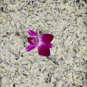 Chilled Spinach & Artichoke Dip